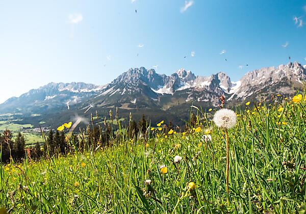 6b6f20ee-b80d-4a35-93a8-cc791006dd71