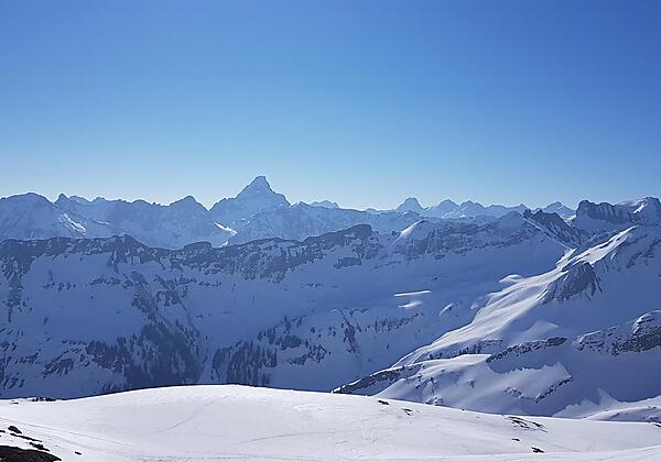 Blick vom Nebelhorn auf den Hochvogel