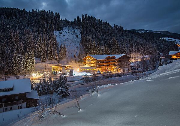 Alpenhof - Winternacht