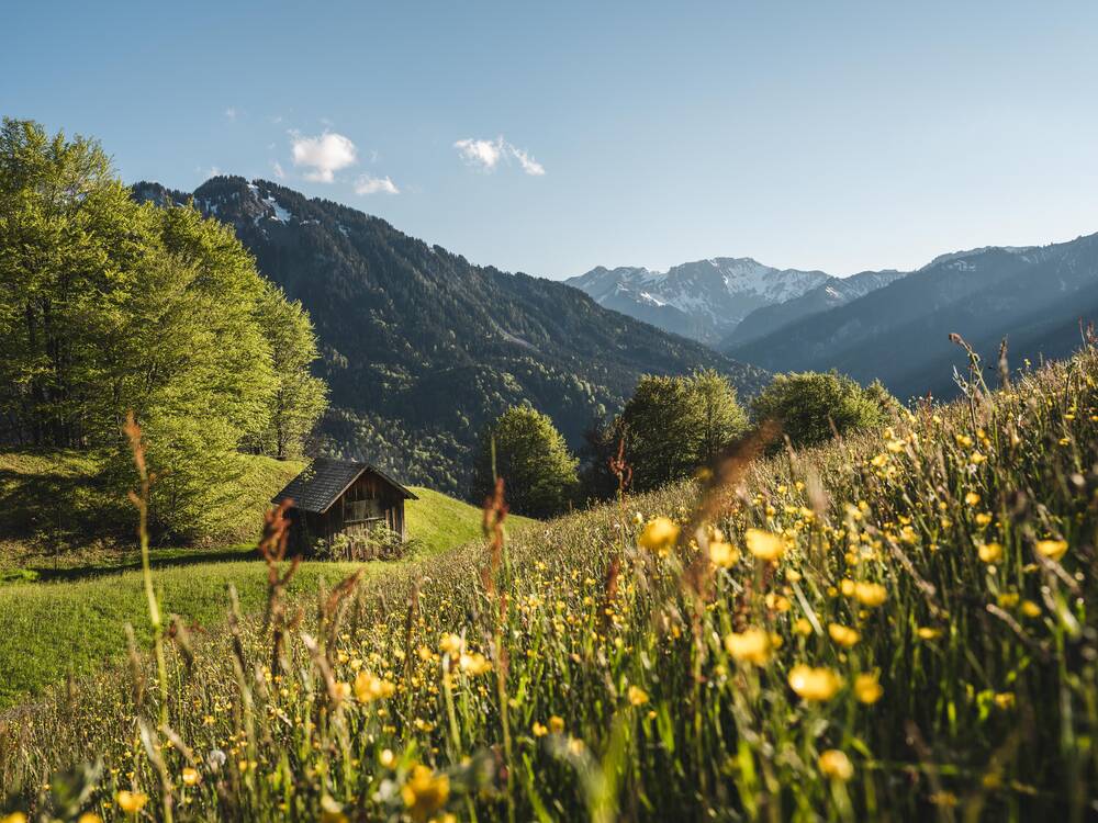Frühling_Landschaft©StefanLeitner_017jpg.jpg