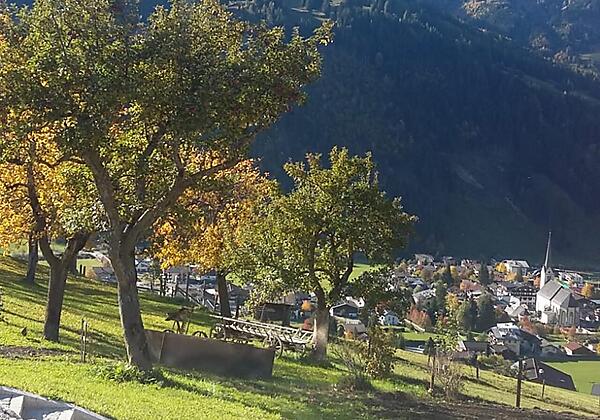 Langrieshof Obstgarten und Aussicht im Sommer