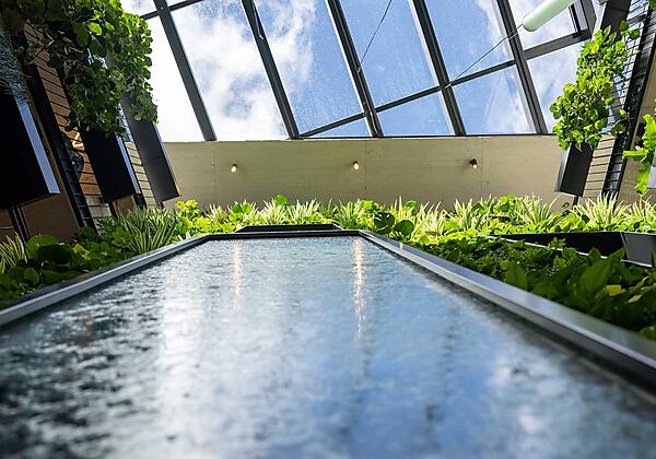 Lifesteil Appartementresort Wellnessbereich