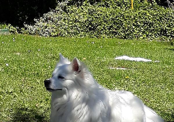 thumbnail_20170430_125244