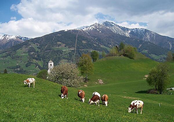 Ansicht StNiklolauskirche