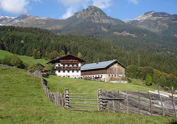 Maurachgut-Biohof-Hofgastein-Haus-Sommer