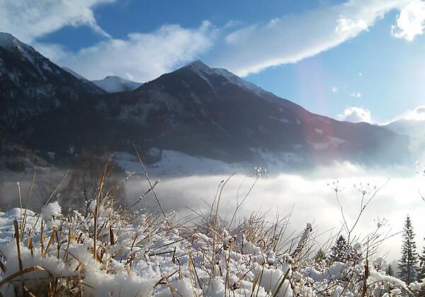 Maurachgut-Biohof-Hofgastein-Winterlandschaft