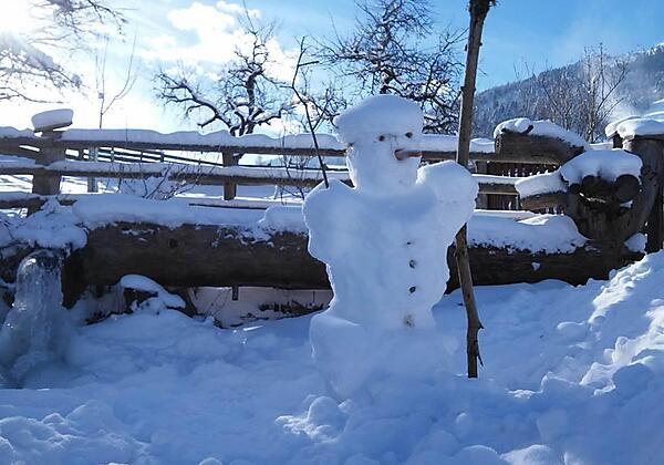 Maurachgut-Biohof-Hofgastein-Garten