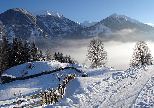 Biohof Maurachgut-Winterlandschaft-Talblick