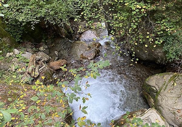 B0CA410B-EFA6-4D13-9458-7B935030A32A