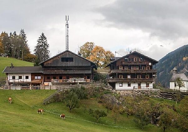 nachwuchs-mooserhof