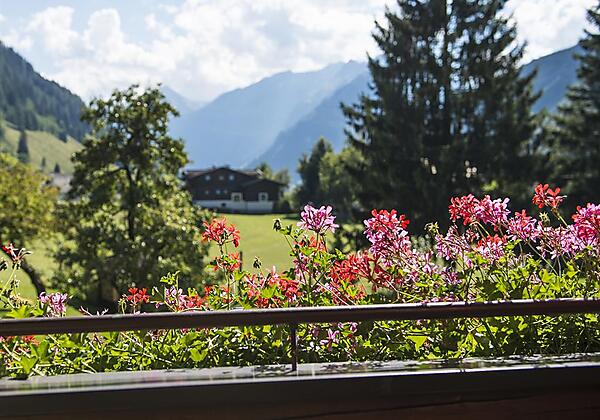 Ausblick vom Balkon