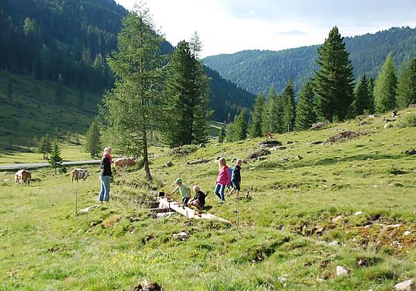 Ausflug in die Alm Juli 2014 020