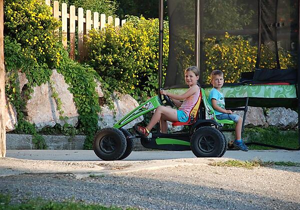 Pferde August 2015 050