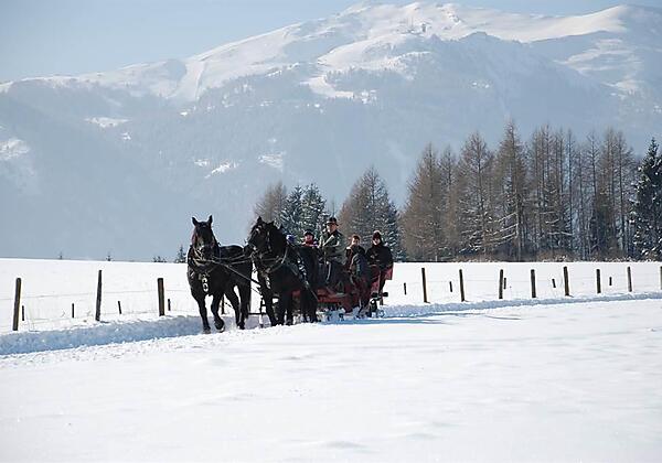 Winterfotos 13-02-2010-02 047