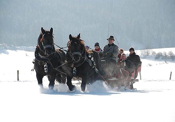 Winterfotos 13-02-2010-02 066