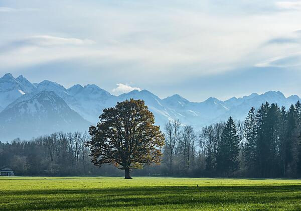 muehle11-ferienwohnungen-allgaeu-familie-1stof8-25