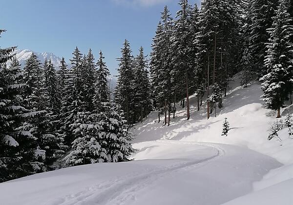 Schneeschuhwanderung