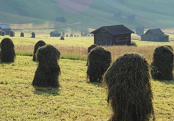 9150 Heuernte in Obertilliach