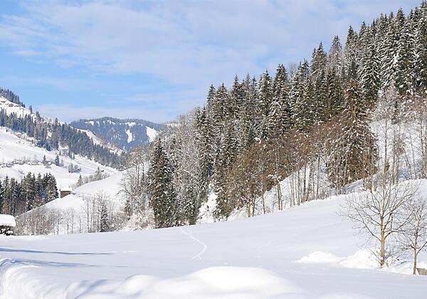 Naturhaus Andrea  - Spaziergweg am Bach entlang