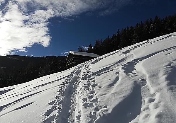 IMG_20180216_091948 (1)