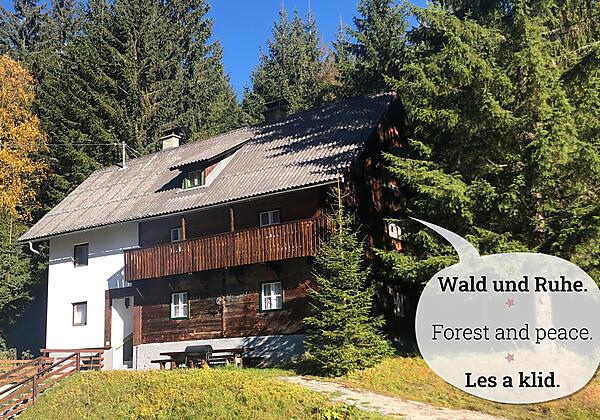 Nockstern Hütte Wald und Ruhe