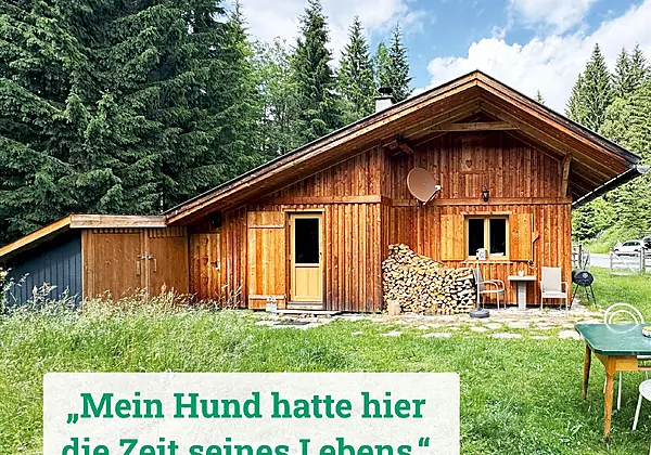 Titelbild-AirBnb-2025-Sternchen