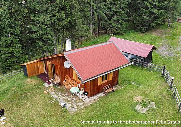 F_Kraus_Nocksternchen