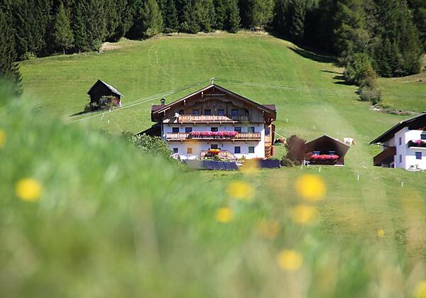 Sommer am Oberrieserhof