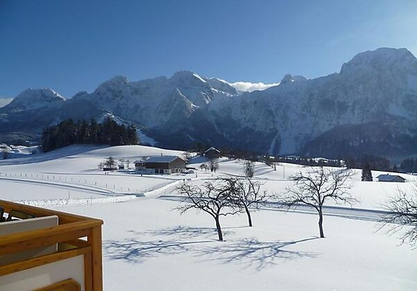 Ausblick