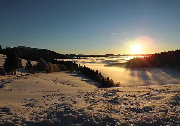 Aussicht vom Belchen (20 Min entfernt)