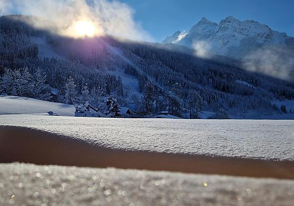 WhatsApp Image 2023-12-03 at 14.49.03