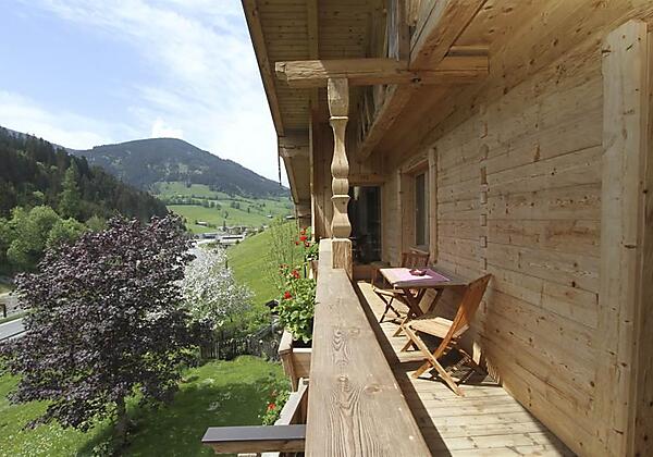 Aussenansicht Sommer1