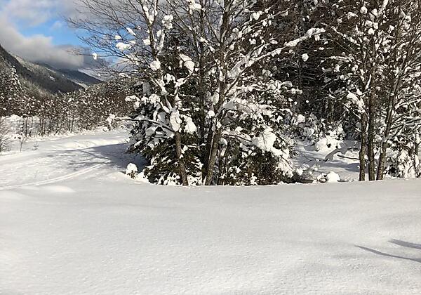 4fe71039-7272-4a35-9be8-0bf3de1a5ea4