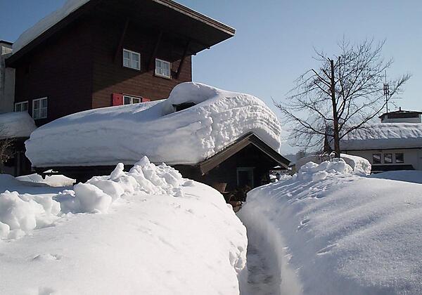 unser Garten im Winter