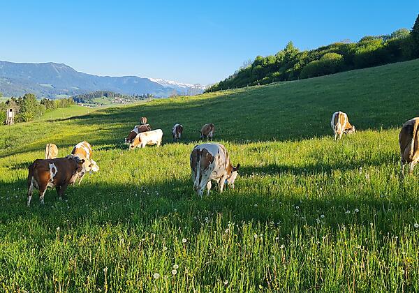 20210601_072130 - Kopie