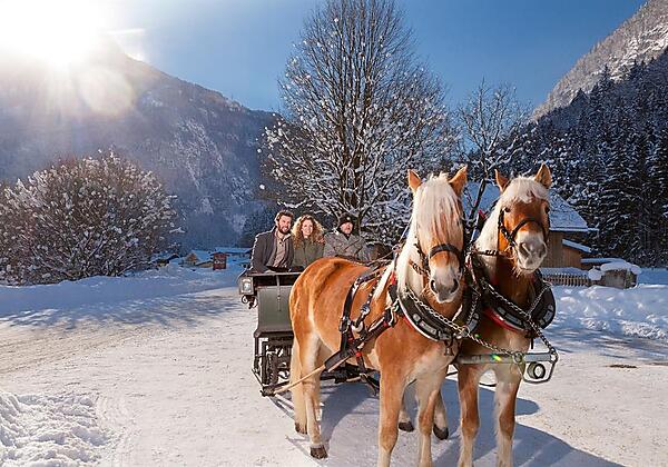 Pferdeschlittenfahrt