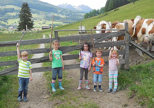 Kühetreiben beim Hansalagut