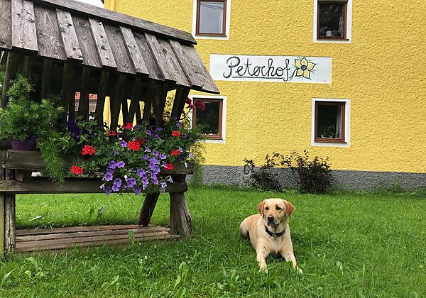 Herzlich willkommen bei uns am Peterhof!