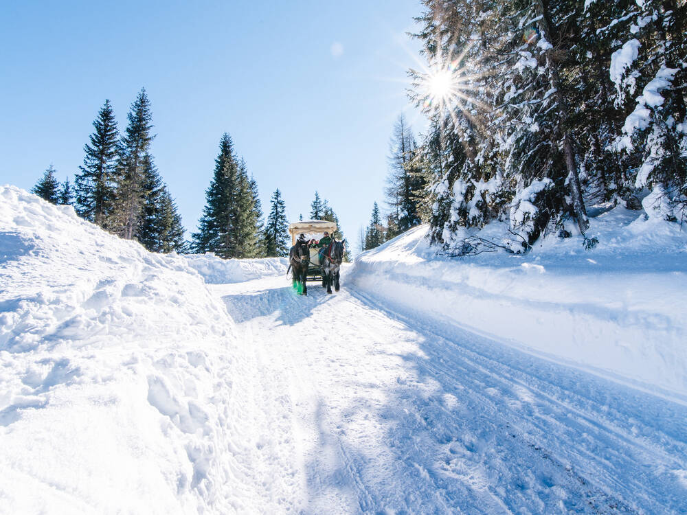 Pferdeschlittenfahrt-Familienhotel-Hinteregger-Katschbergjpg.jpg