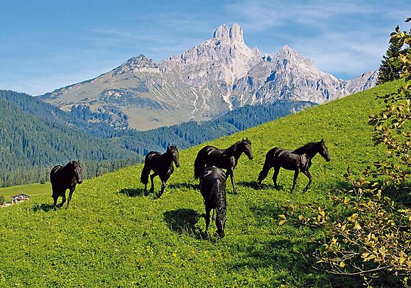 Friesen mit Bischofsmütze