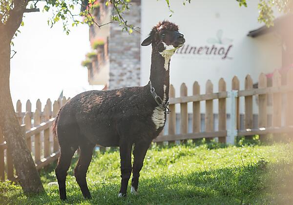 20200912_angelicajaud_120