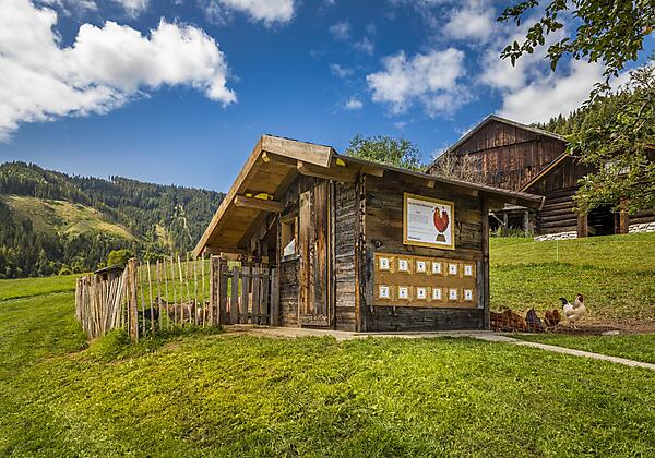 20190816_PrechtlhofAussen_077_klein