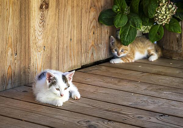 20230906_PrechtlhofAussen02_038_klein