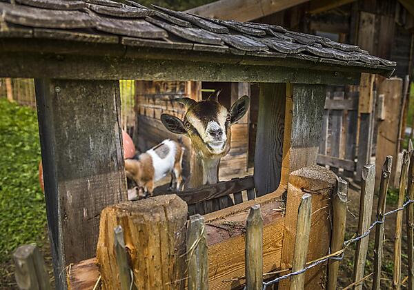 20190816_PrechtlhofAussen_093_klein