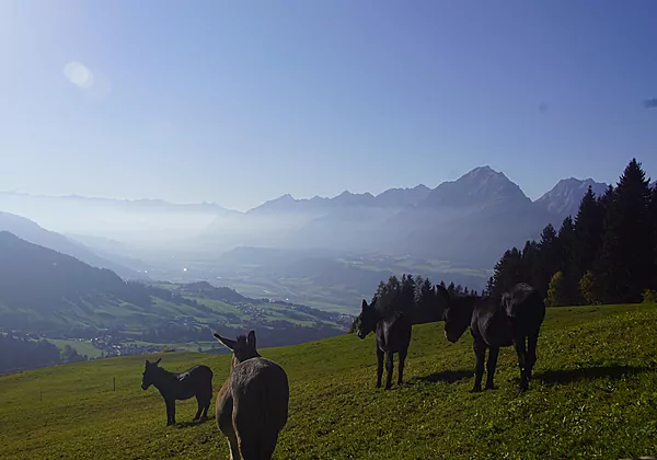 Pillberg Tirol über dem Inntal