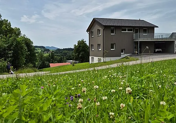 Refugium im Wald