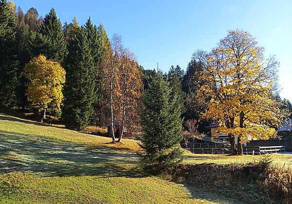 Im Herbst