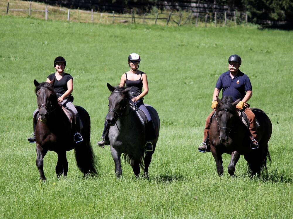 Reiten am Postgut