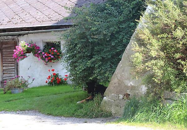 Holywood Schaukel  beim Restgut