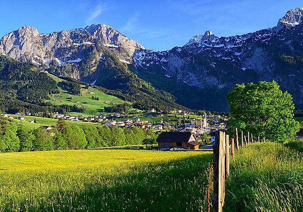 fruehling160513325_web